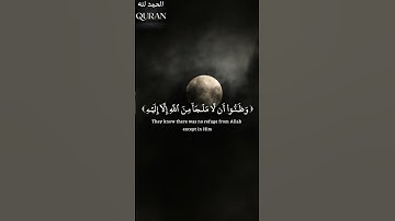[ وضاقت عليهم أنفسهم وظنوا أن لا ملجأ من الله إلا إليه ]  - القارئ عمير_شميم