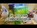 Day-off edition: Cleaning my aquarium
