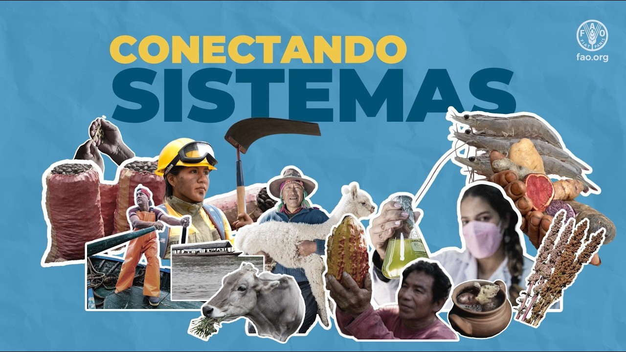 Video in Youtube with Aldo Soto's interview. He speaks about the work Amazonia Impact Ventures has been working in the bioeconomy of the forest. 