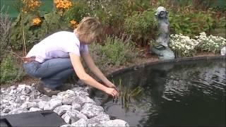 Step by step making a Pond without subtitles TL5