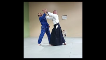 #shihonage #aikijustsu