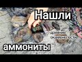 Поиск аммонитов и природных материалов для поделок.