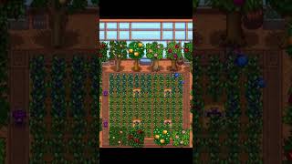 STARDEW VALLEY // СЕКРЕТ ВЫГОДНОЙ ТЕПЛИЦЫ