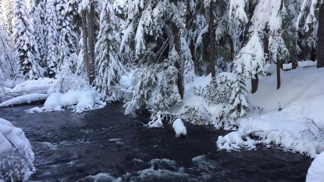 Snowshoeing to Salt Creek Falls Eugene, Cascades & Coast YouTube