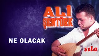 Ali Şentürk - Ne Olacak - (Türkü) Resimi