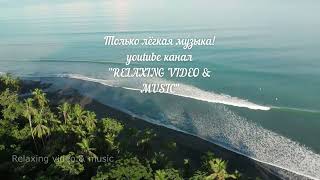 ДЖУНГЛИ 4K. Relaxing video & music.