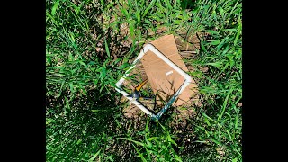 Impact of Cereal Rye Cover Crop on Weed Control and Crop Productivity in Wisconsin
