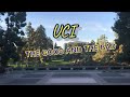 Pros and cons about uc irvine