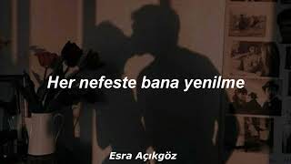 Anıl Emre Daldal - S. Lyrics Resimi