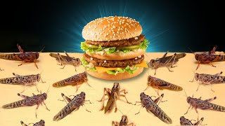 100 LOCUSTS vs BIG MAC