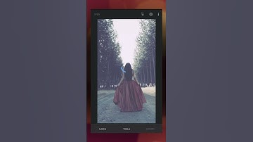 Create Fog Effects in Snapseed #SpeedArt