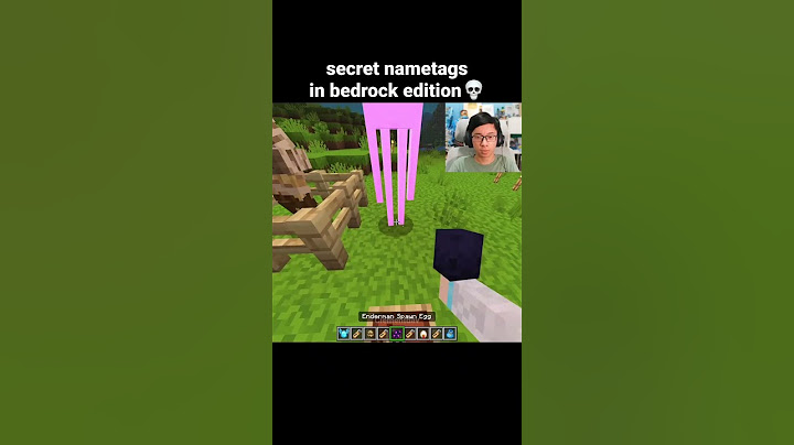 Minecraft Secret Nametags Moment