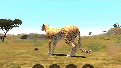 The Cheetah | gameplay walkthrough part 4 | Red chilli Gaming | Android iOS