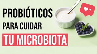 ✅ Principales SUPLEMENTOS REGULADORES de la MICROBIOTA [Probióticos y Prebióticos]