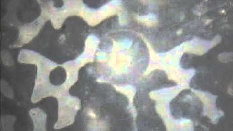 Amazing Membrane emulsification with SPG membrane