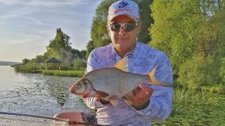 видео: Як ловити ляща на фідер. Поради від чемпіона. Конкурс!!! картинка: Як ловити ляща на фідер. Поради від чемпіона. Конкурс!!!