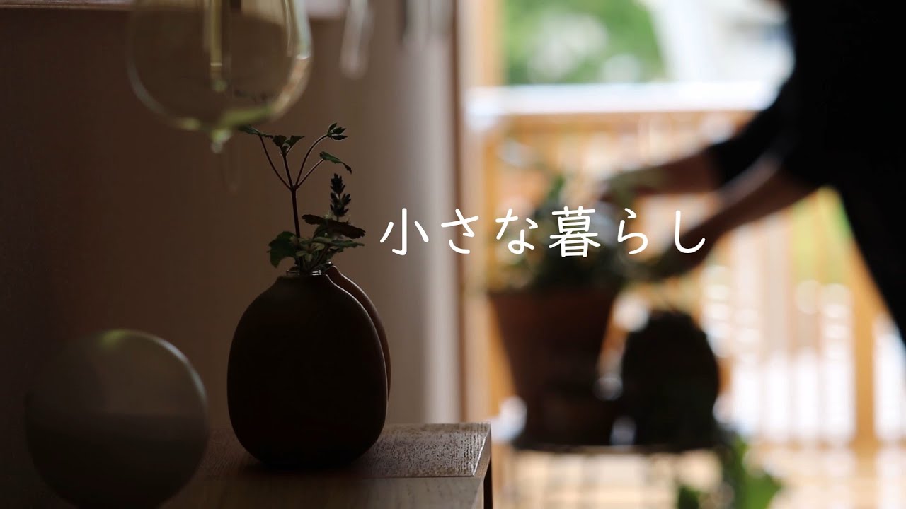 花ごよみ 2月~4月に部屋を彩ってくれた草花 / 水滴