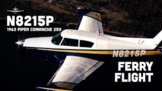 Ferry Flight! - N8215P | 1963 Piper Comanche 250