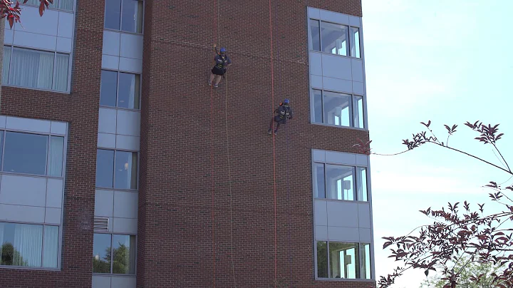 SUE BUSBY Over The Edge 2017