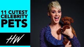 Top 11 Cutest CELEBRITY PETS! | Hollywire