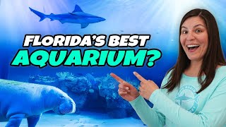 Mote SEA Aquarium FULL TOUR & Review | Best Things to Do | Sarasota, Florida Wealth