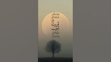 #تلاوة_هادئة #اكسبلور #المصحف🖤🦋🖇️