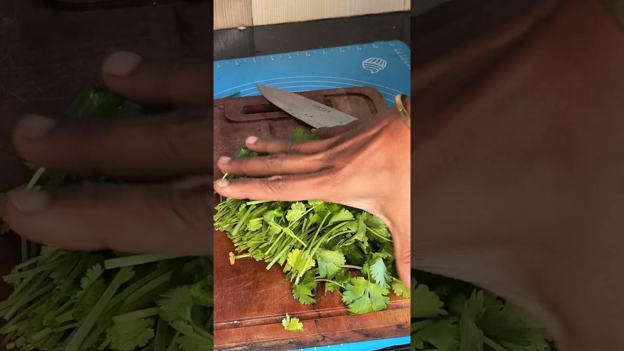 storage process | Dhaniya patar #coriander #storagesolutions #dhania #shorts #shortsvideo