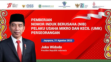 PEMBERIAN NOMOR INDUK BERUSAHA (NIB) PELAKU USAHA MIKRO KECIL (UMK) PERSEORANGAN