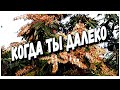 ,,КОГДА ТЫ ДАЛЕКО,, Музыка Сергей Грищук