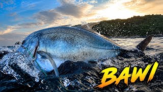 BLUE, YELLOW, SILVER TREVALLY'S  || SPEARFISHING BANTON ROMBLON!😱😱