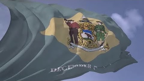 Delaware Flag Stock Motion Graphics