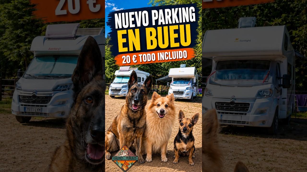 🚐 O Coto Leirapark en Bueu | Nuevo Parking con Todo por 20 € 🐶 | Galicia