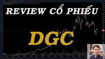 CTCP Hóa chất Đức Giang (HOSE:DGC) Đáng để đầu tư dài hạn