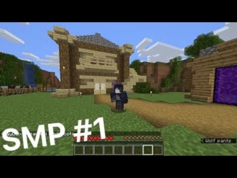 MINECRAFT SMP #1 სახლი ავაშეენეთ (პირველი ვიდეო)