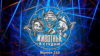 Подкаст «Животные в Cтудии». Выпуск 210. Сексуализируй это