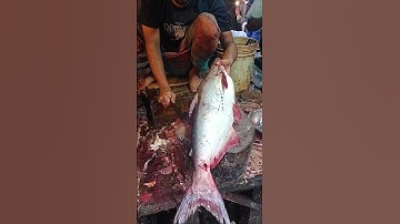 Live Pangas Fish Cutting 😊#shorts