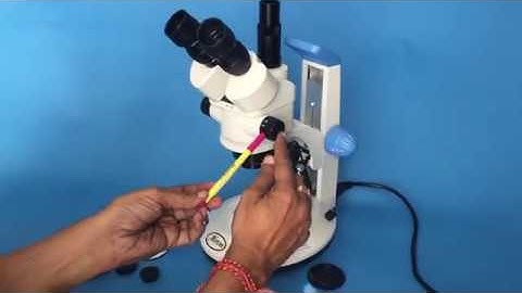 video bio technology stereo zoom trinocular microscope working hindi abron01@gmail com