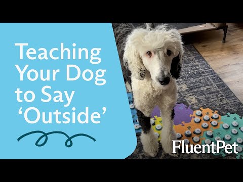 Getting started and teaching 'outside'