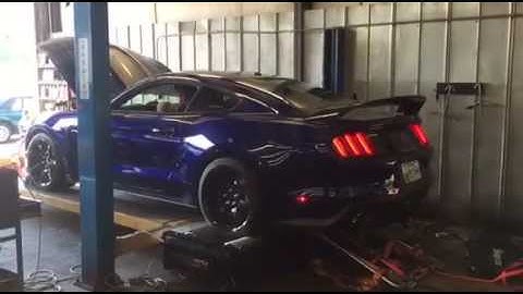 Shelby GT350R on the dyno in Nashville TN