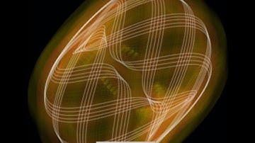 Audio Visualization of Reverb Effect with VisualSwift