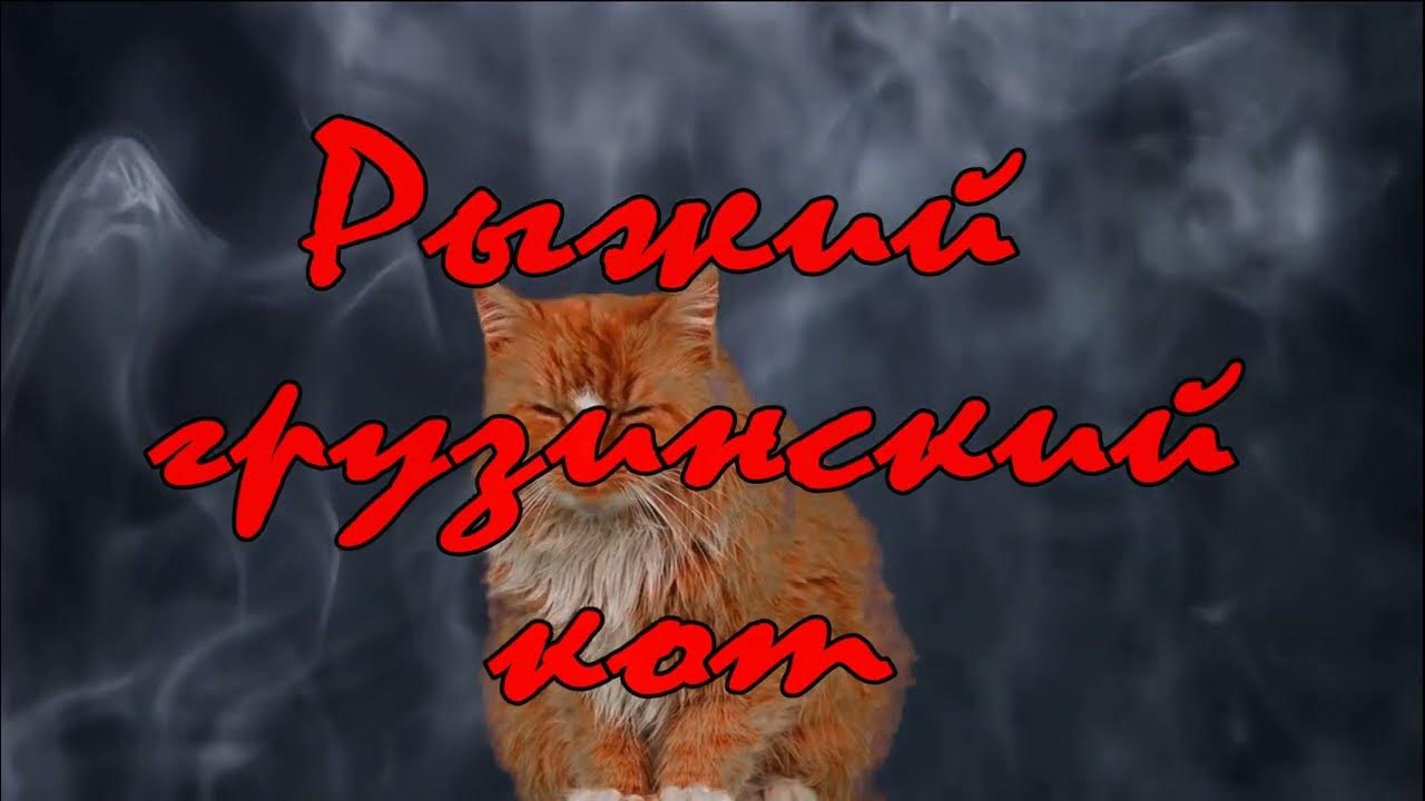 Рыжий грузинский кот - YouTube