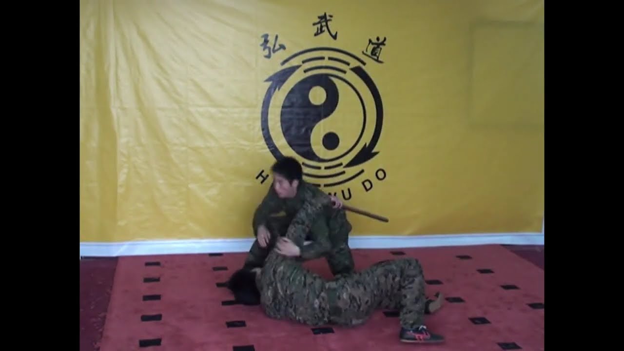 Learn Hung wu do: chinese self defense.