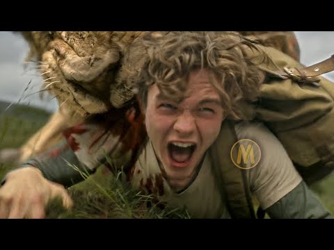 أسد بيهجم عليه وبيعضه فبيتحول لإنسان بيمتلك قوة الأسد ملخص فيلم Kraven The Hunter أسد بيهجم عليه وبيعضه فبيتحول لإنسان بيمتلك قوة الأسد ملخص فيلم Kraven The Hunter