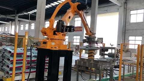 ESTUN Palletizing Robot Application in Factory in Hebei, China.