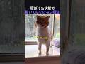 寝ぼけた状態で動いてはいけない理由