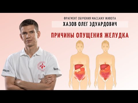 Причины опущения желудка.  Фрагмент обучения.