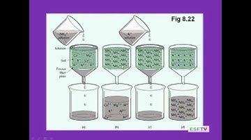 Forest Soils - Colloids