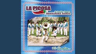 Video thumbnail of "Banda La Picosa - La Burrita"