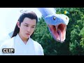 蒙面医女上山采药 竟遇上千年蛇仙！《长白·灵蛇传 / Legend of Snake》clip