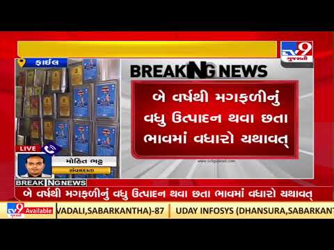 Groundnut oil price increased by Rs. 30 per can |Rajkot |Gujarat |TV9GujaratiNews